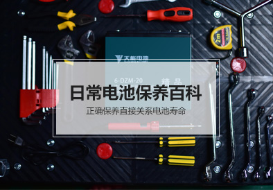 永信贵宾会217电池