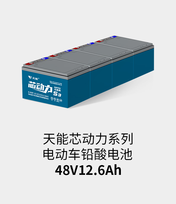 永信贵宾会217电池48v12ah