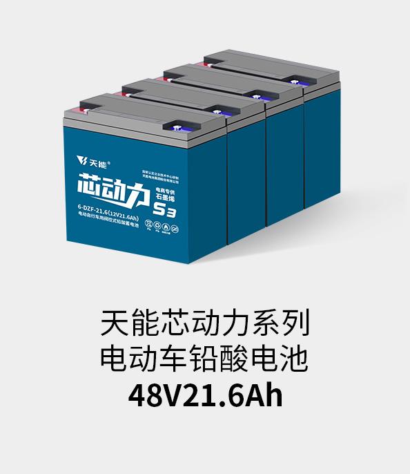 永信贵宾会217电池48v20ah
