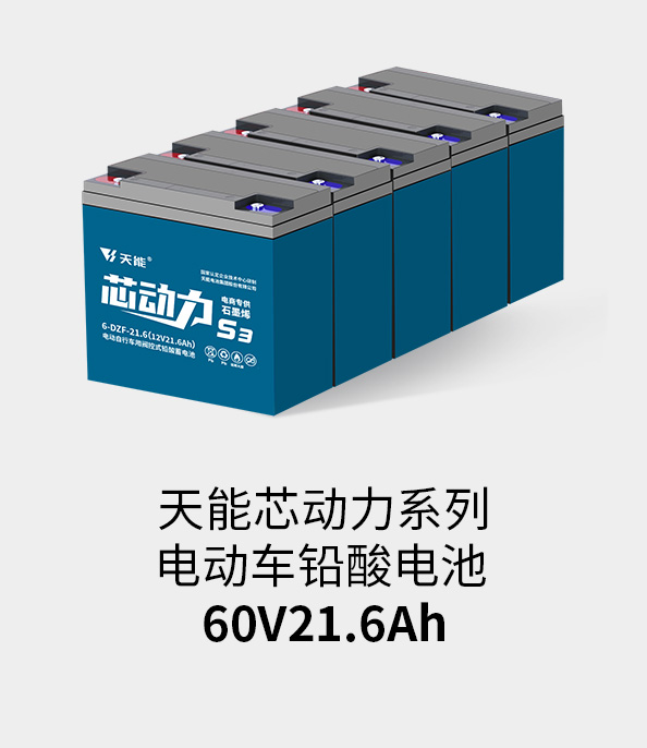 永信贵宾会217电池60v20ah