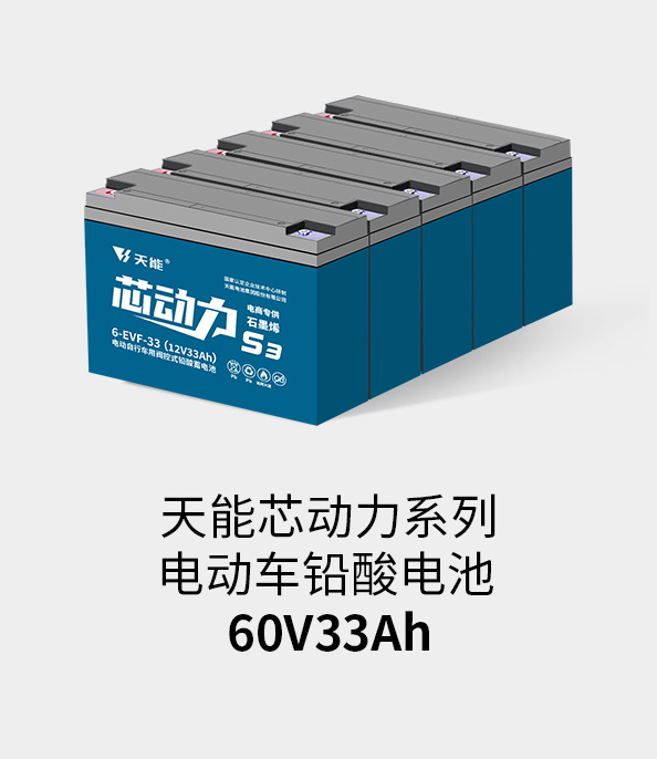 永信贵宾会217电池60v33ah