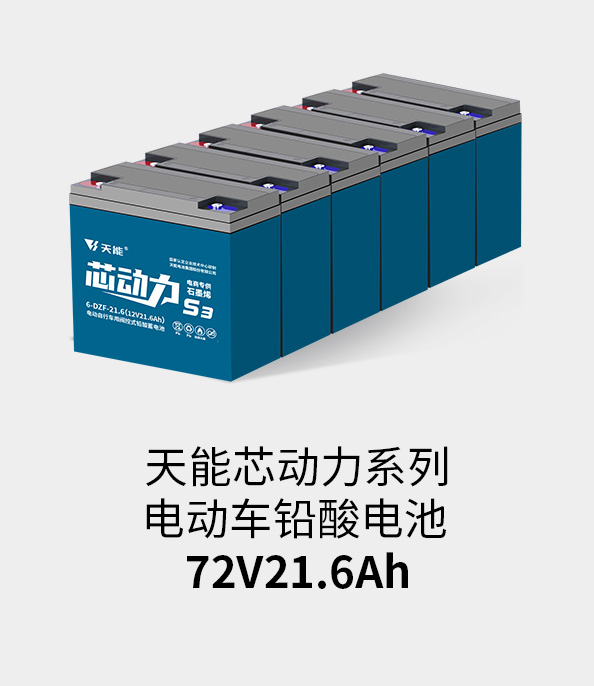 永信贵宾会217电池72v20ah