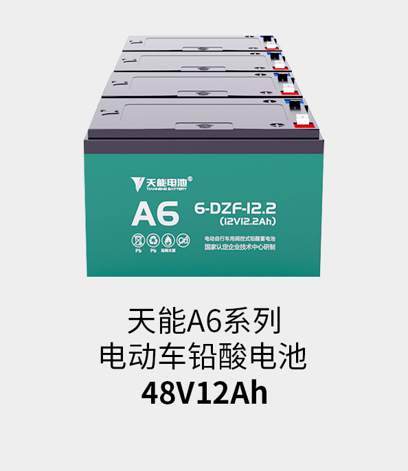 永信贵宾会217电池48v12ah