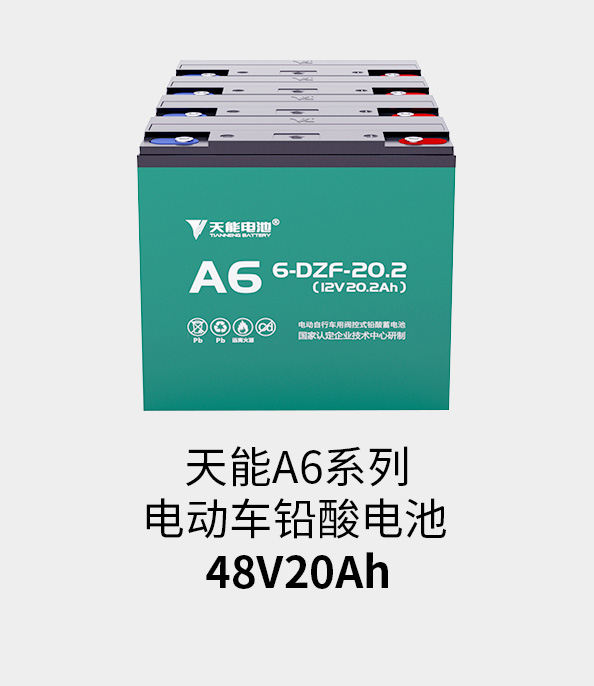 永信贵宾会217电池48v20ah