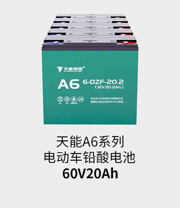 永信贵宾会217电池60v20ah