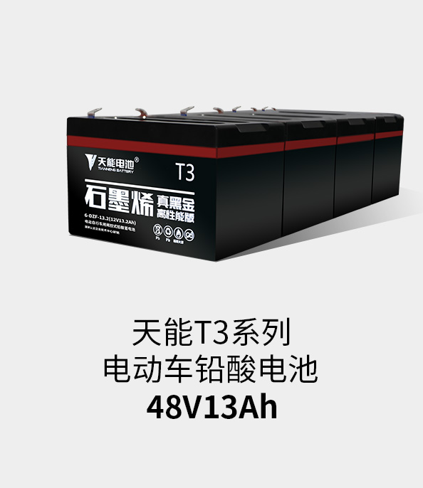 永信贵宾会217T3系列48v13ah