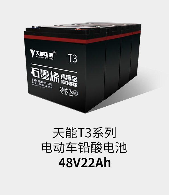永信贵宾会217T3系列48v22ah
