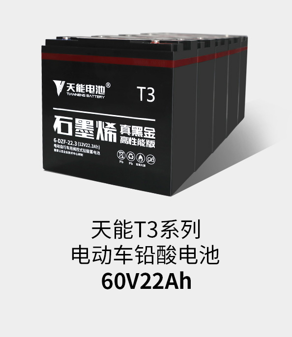 永信贵宾会217T3系列60v22ah