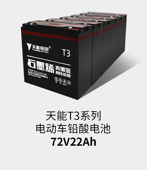 永信贵宾会217T3系列72v22ah