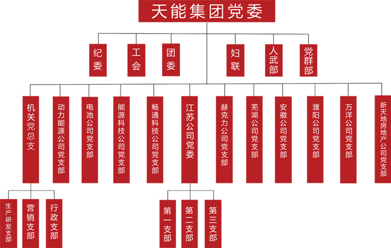 永信贵宾会217建团党委组织架构